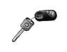 ���������� Carbodies